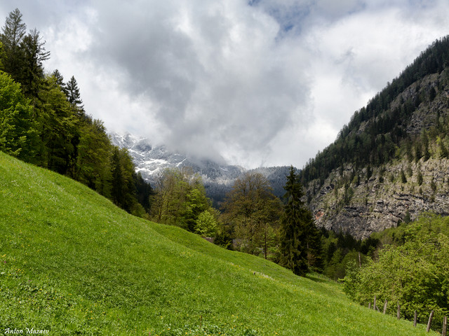 IMG-0130-3