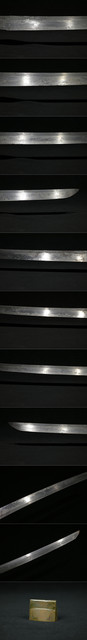 DSC6945.jpg