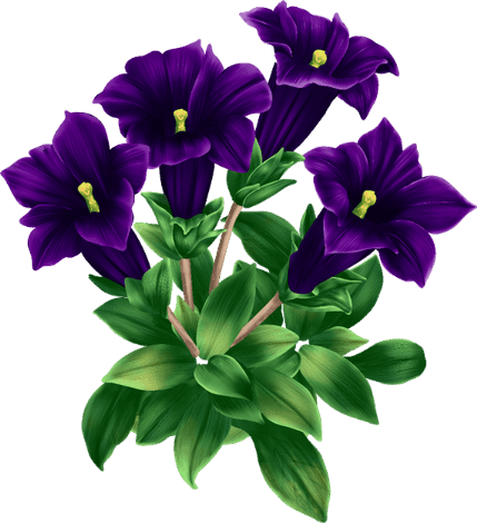 a8ba99a1.png