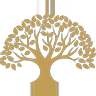 Barbary & Oak logo