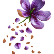 080fd807fb7bf7d5fdafcc7a2ddfdf72