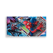 704211-Homem-Aranha-Ana