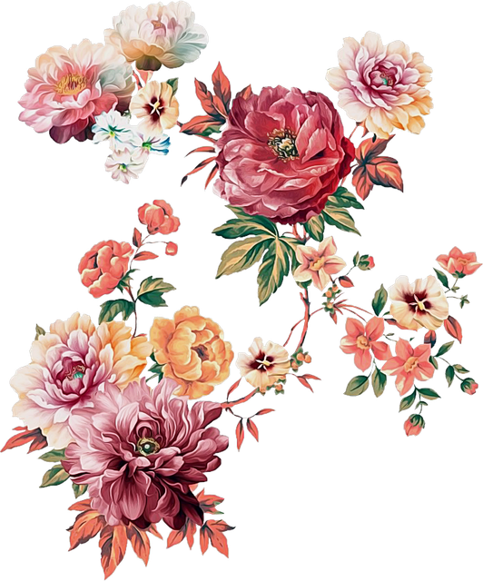 0bbc4492aefd3f036d411493f88c9cfd.png