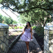 IMG 4236