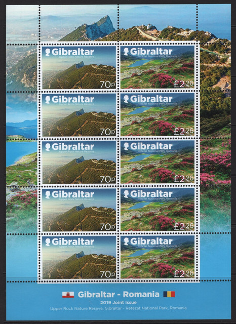 716