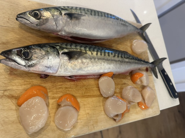 Fresh fish at Pondhu