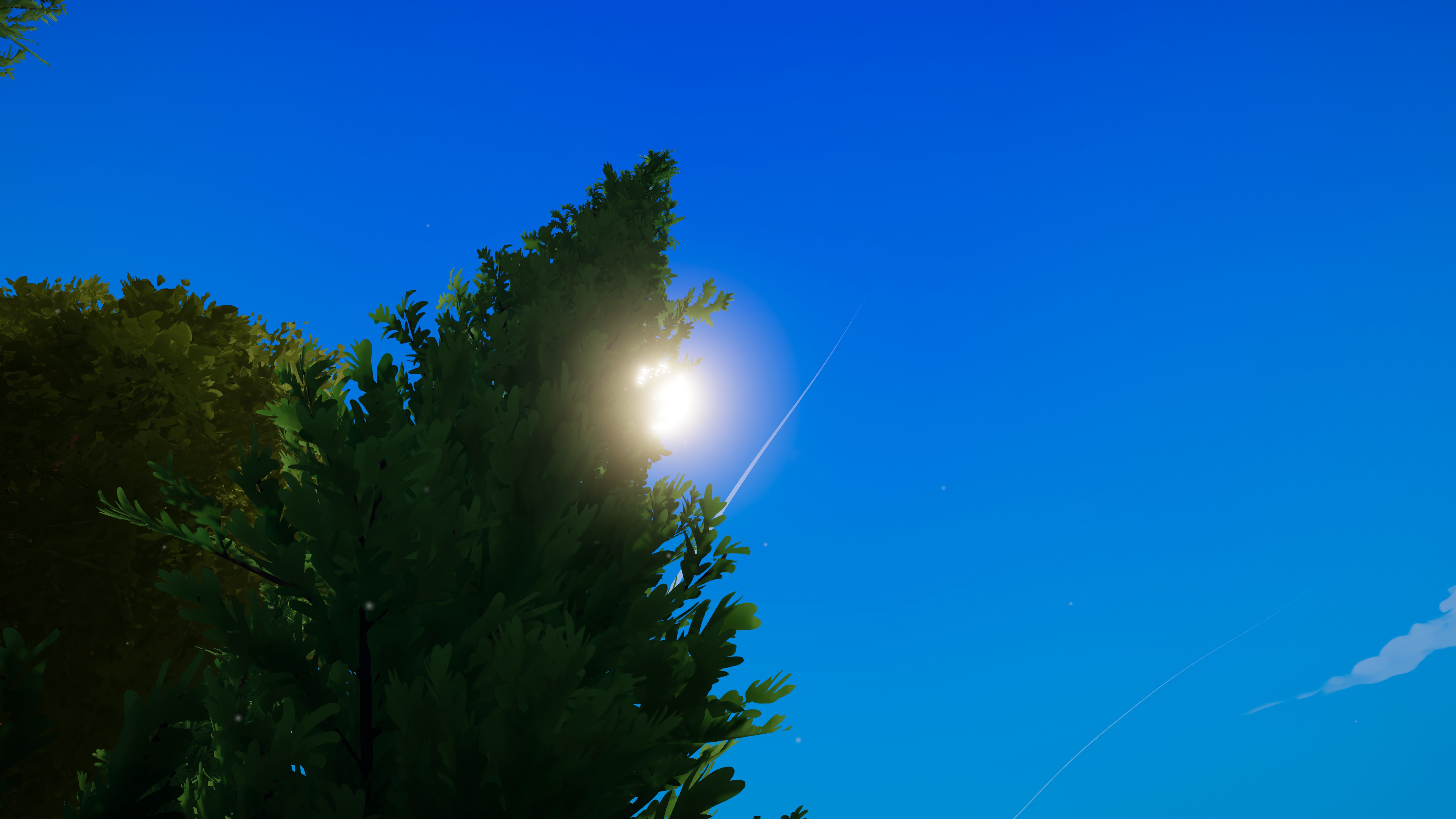 20260907225802-1.jpg