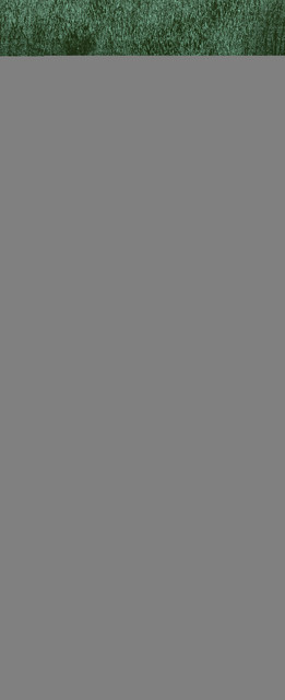 shutterstock-1092391193.jpg