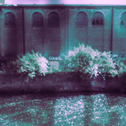 DSF1998-2