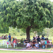 IMG-4659