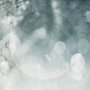 ai7