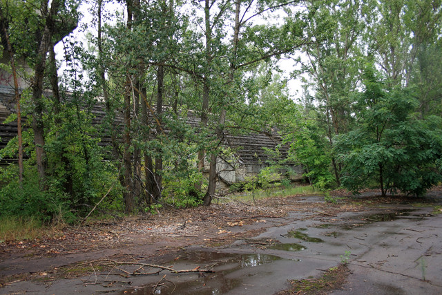 IMG-6056.jpg