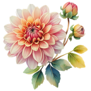 a3b51aef0ee5acf324fdfb48867b179f
