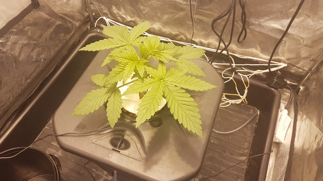 hydro-day-19