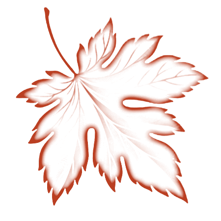 6e9634df0352ac63289dbb98b2a79f80.png
