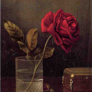 The-Queen-of-Roses