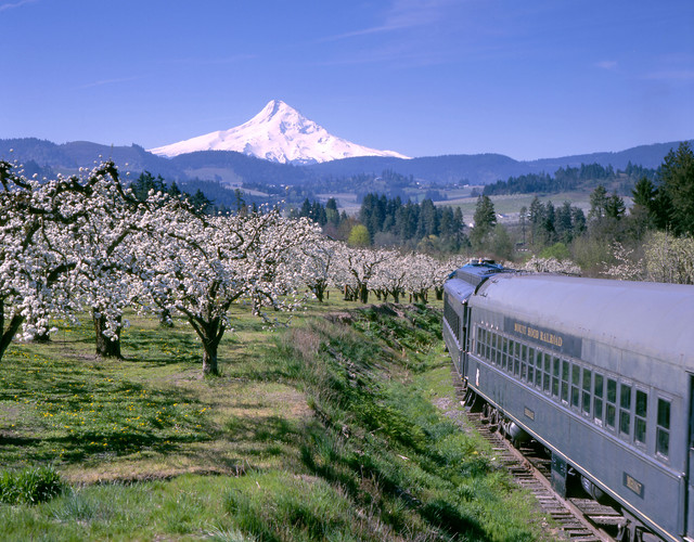 Mt-Hood-Railroad-Spring