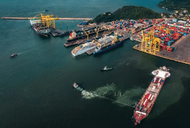 Vietnam's Seaports Achieve Global Recognition as Key Maritime Hubs