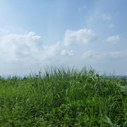 P1320700