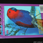 IMG-7771