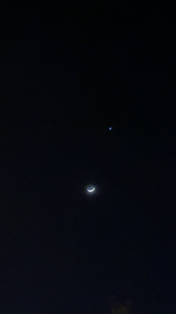 IMG-8861