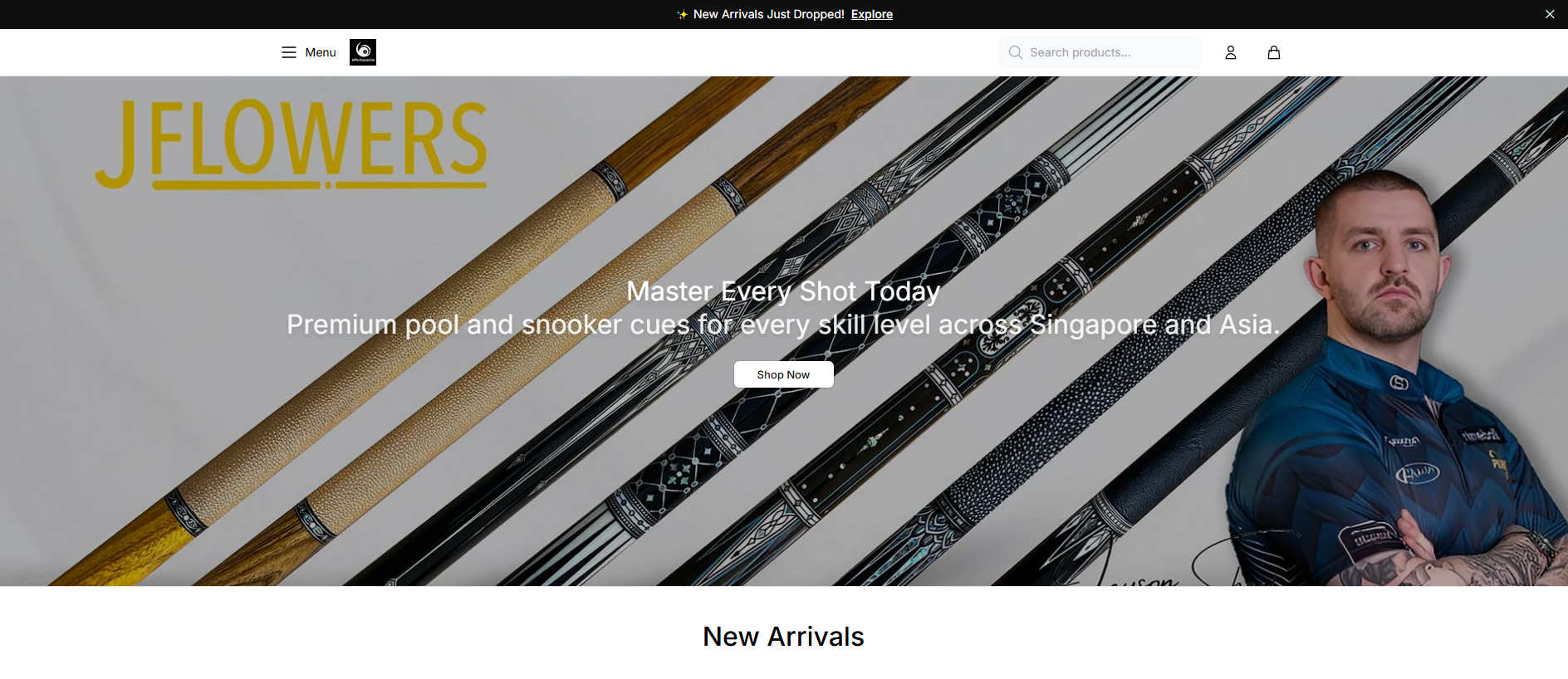 Primary capture · billiardlink.shop