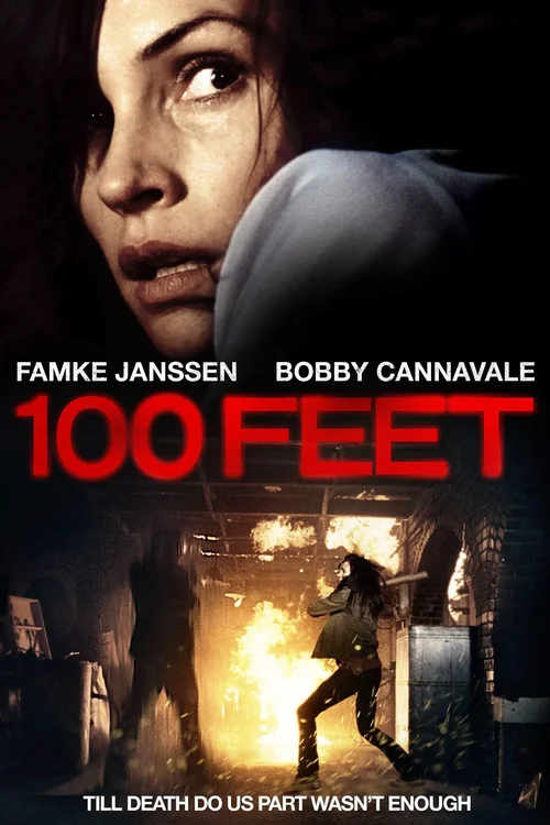 Domowe piekło / 100 Feet (2008) PL.DVDRip.XviD.AC3-GR4PE / Lektor PL