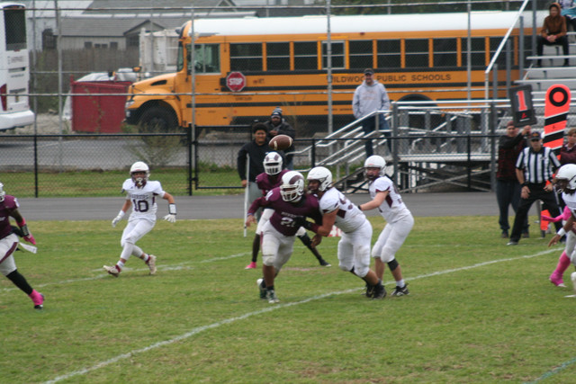 IMG-0282.jpg
