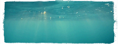 underwater-15.gif