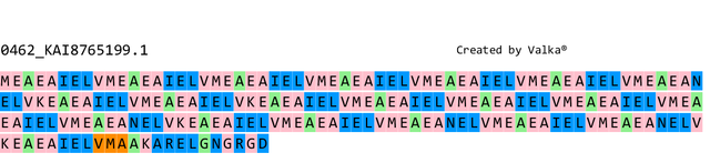 0462-KAI8765199-1-P-0-b1