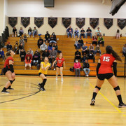 IMG-0215