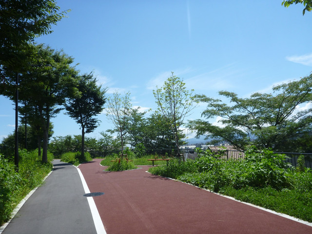 P1330944.jpg