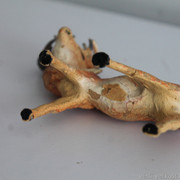 IMG-6660