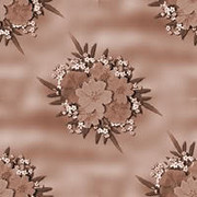 backgrd027-sandi