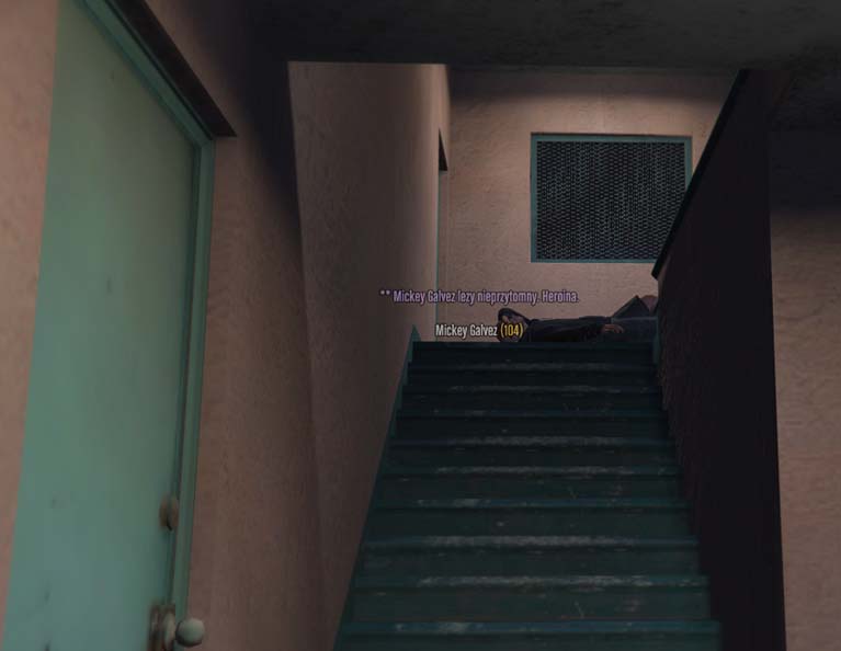 ss4.jpg