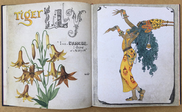 tiger-Lily-dancer