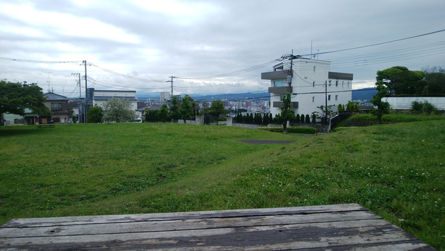 DSC-0010