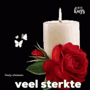 26.gif