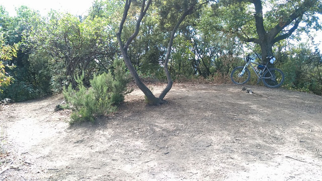 bici