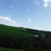 DSCF7948