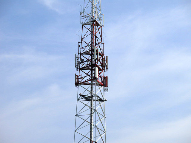 IMG-4656