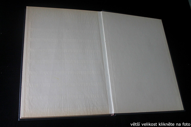 IMG-3236.jpg