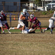 IMG-5445