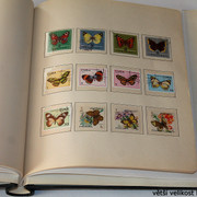 IMG-3973