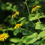DSC5501