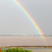 IMG-3321