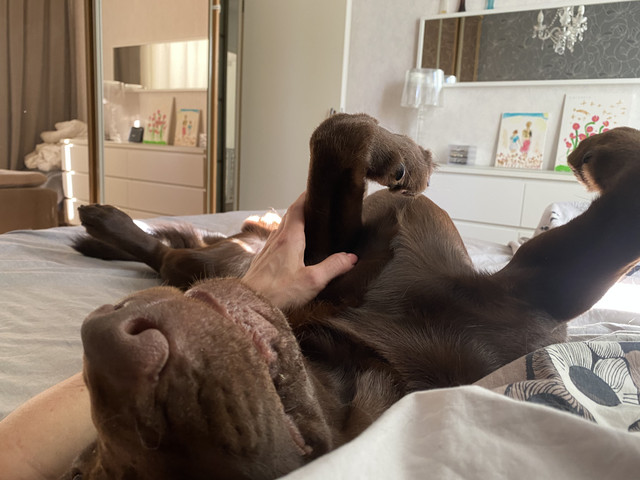 50-A874-AD-1-EFD-4-D5-C-90-A4-1-E51651-E