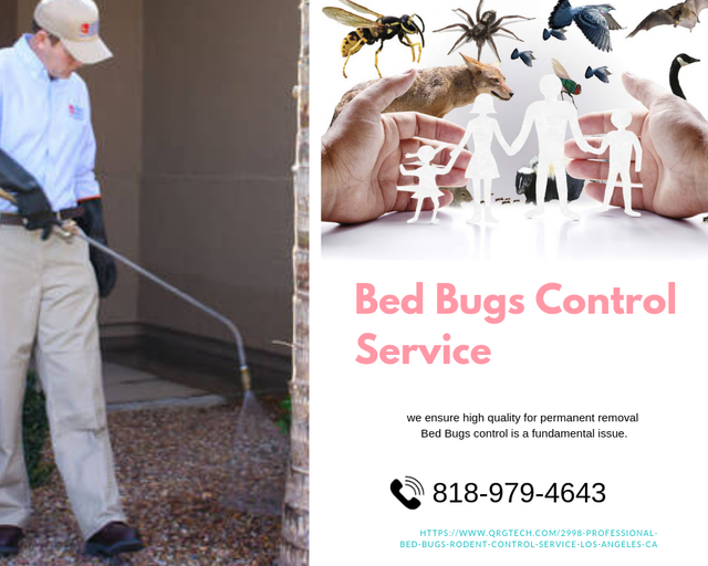 Bed-Bugs-Control-Service.png