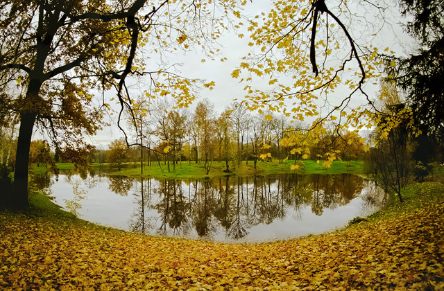 OLYMPUS-DIGITAL-CAMERA.jpg