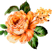 shutterstock-1633762006